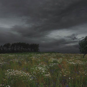 Meet your Posher, Monique